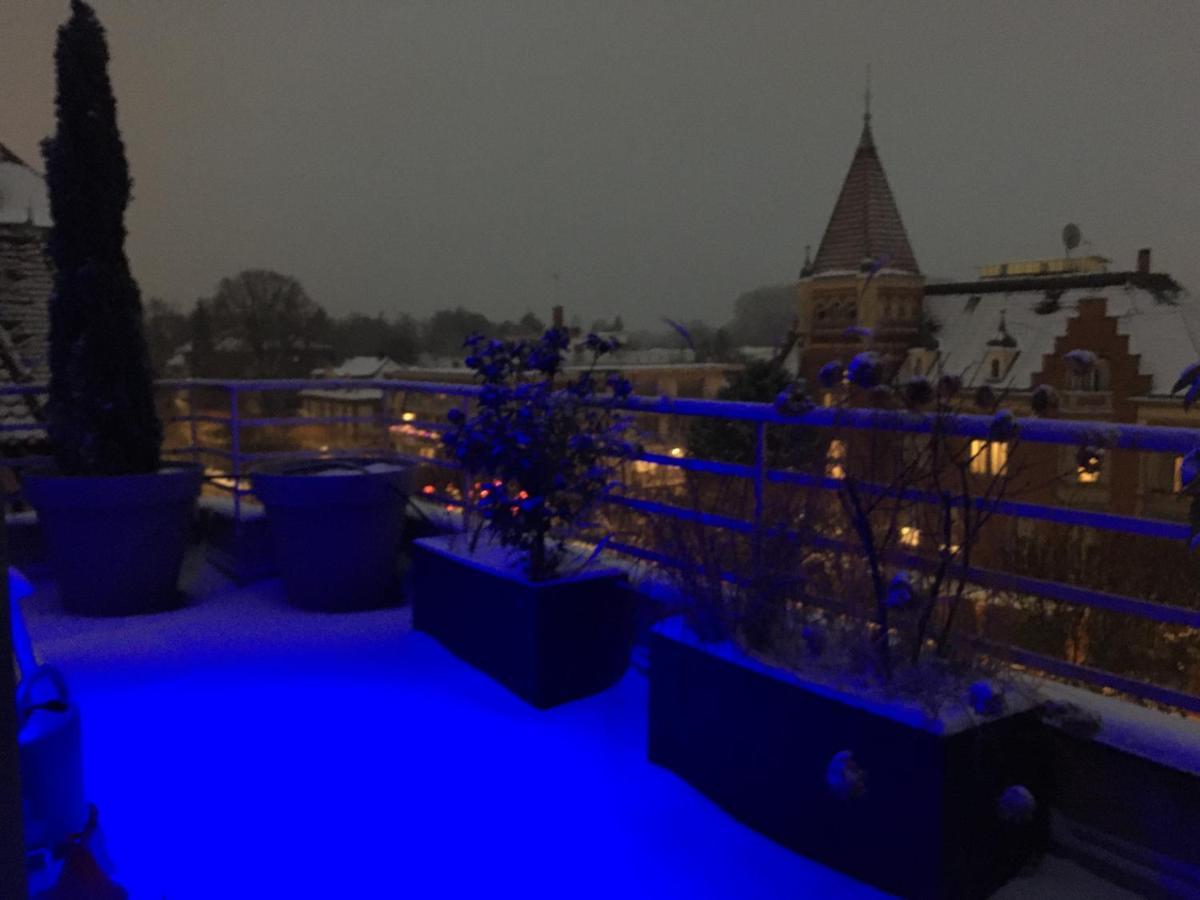 L'Orangerie Apartment Strasbourg Luaran gambar