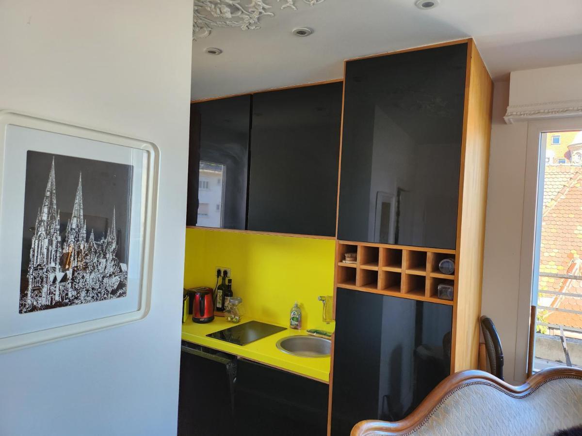 L'Orangerie Apartment Strasbourg Luaran gambar